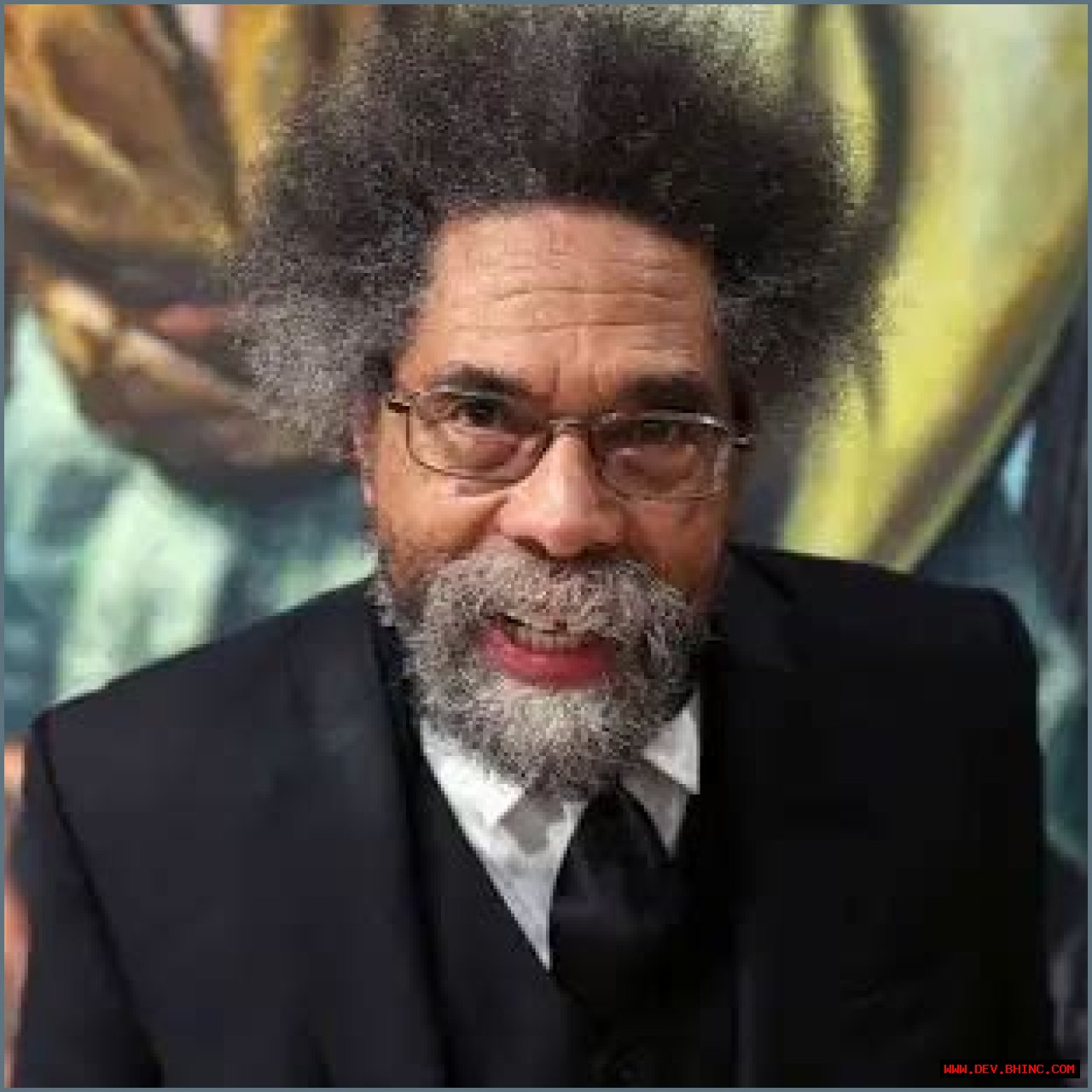 Cornel West (Novelist) - Age, Birthday, Bio, Facts, Family, Net Worth, Height & More