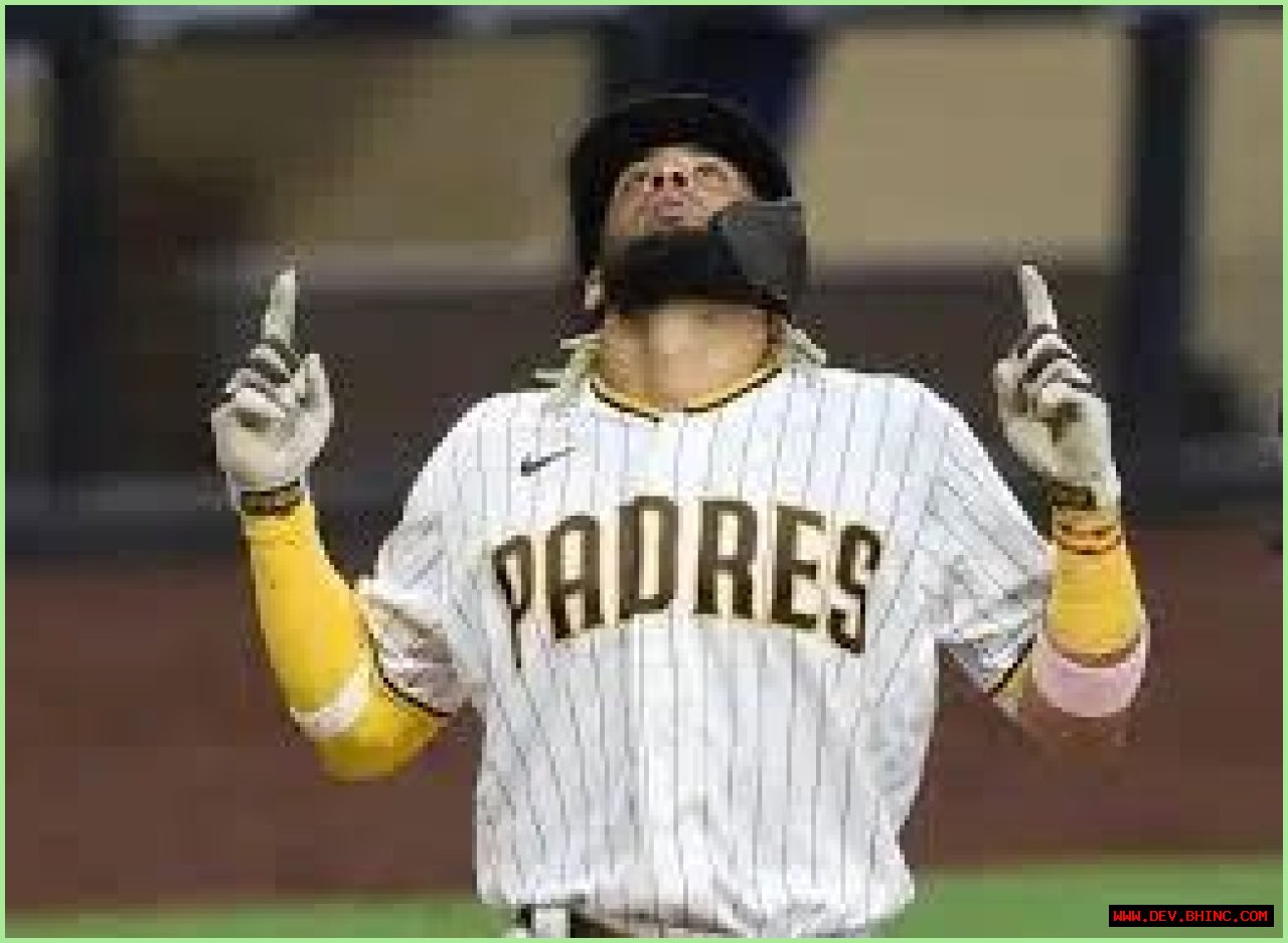 Fernando Tatis Jr.: Wiki, Bio, Height, Wife, Weight, Career