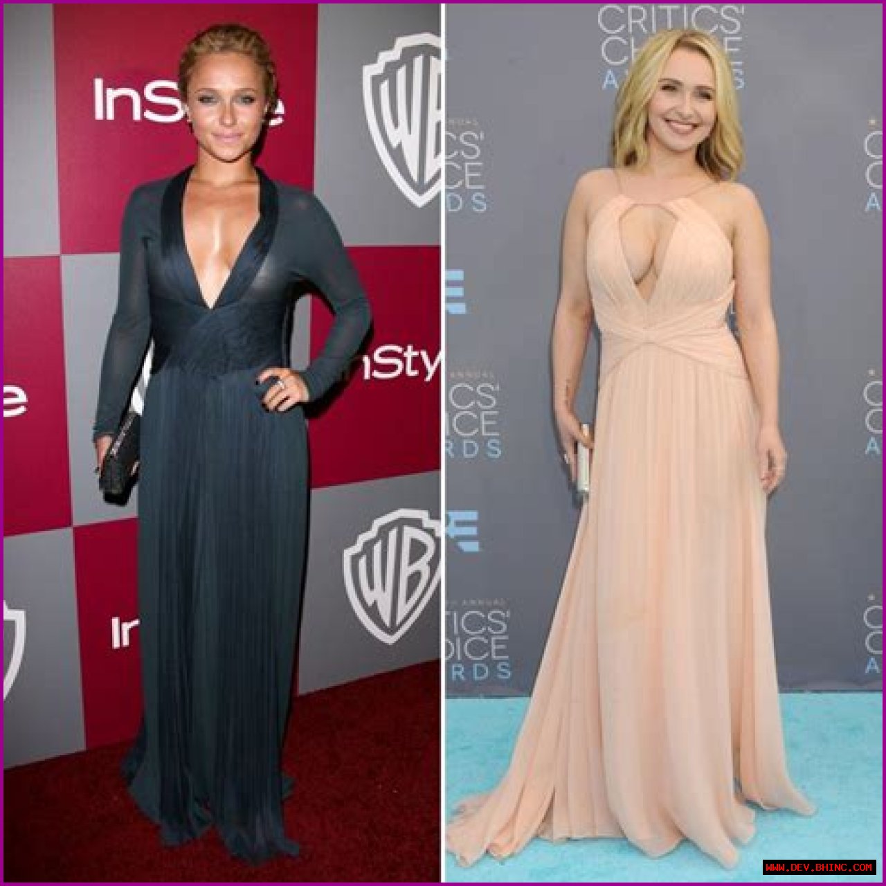 Hayden Panettiere Is a Daring Style Star! See Her Best Braless Moments in Photos
