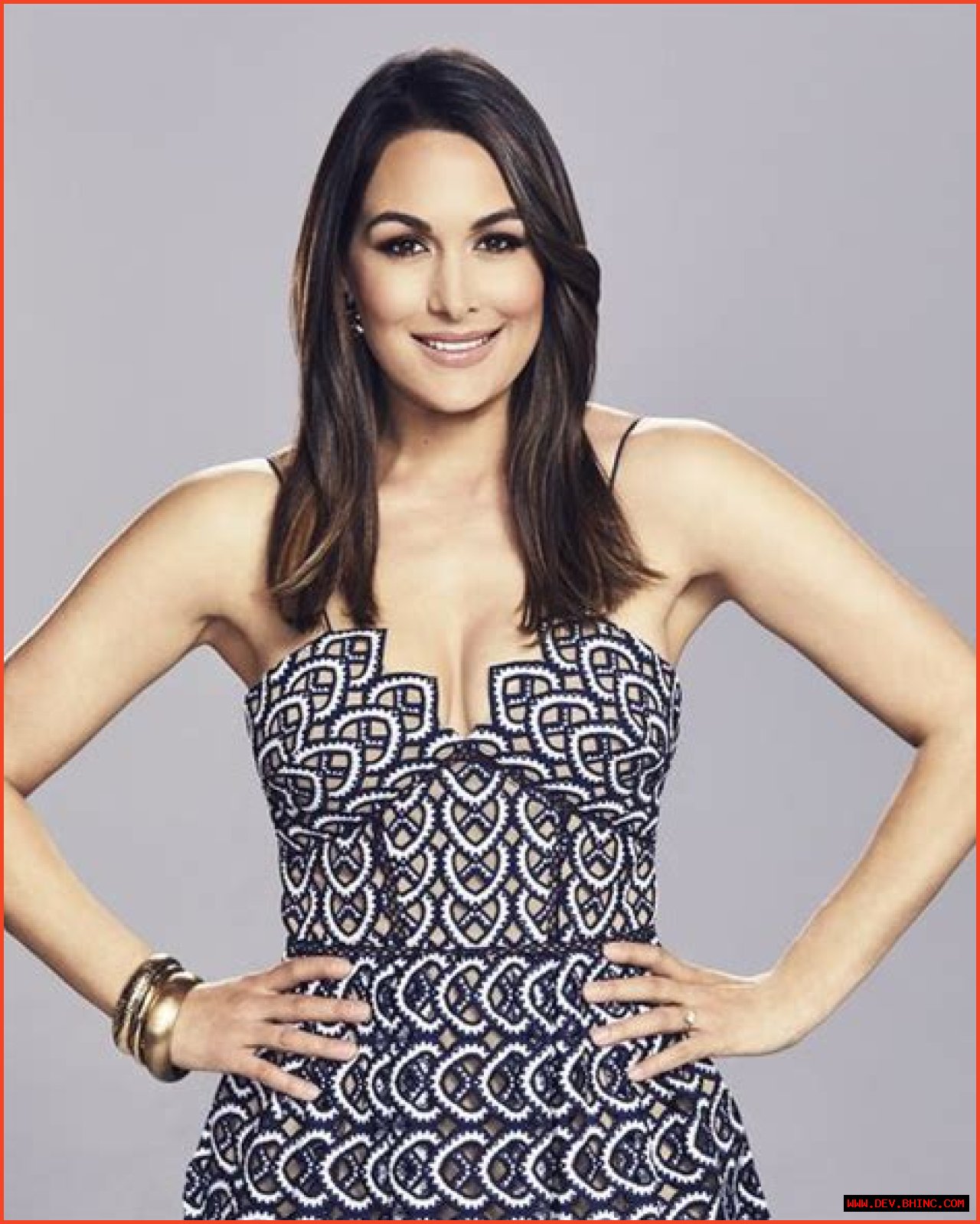 Hot Mama! ‘Total Bellas’ Alum Brie Bella’s Sexiest Bikini and Swimsuit Photos