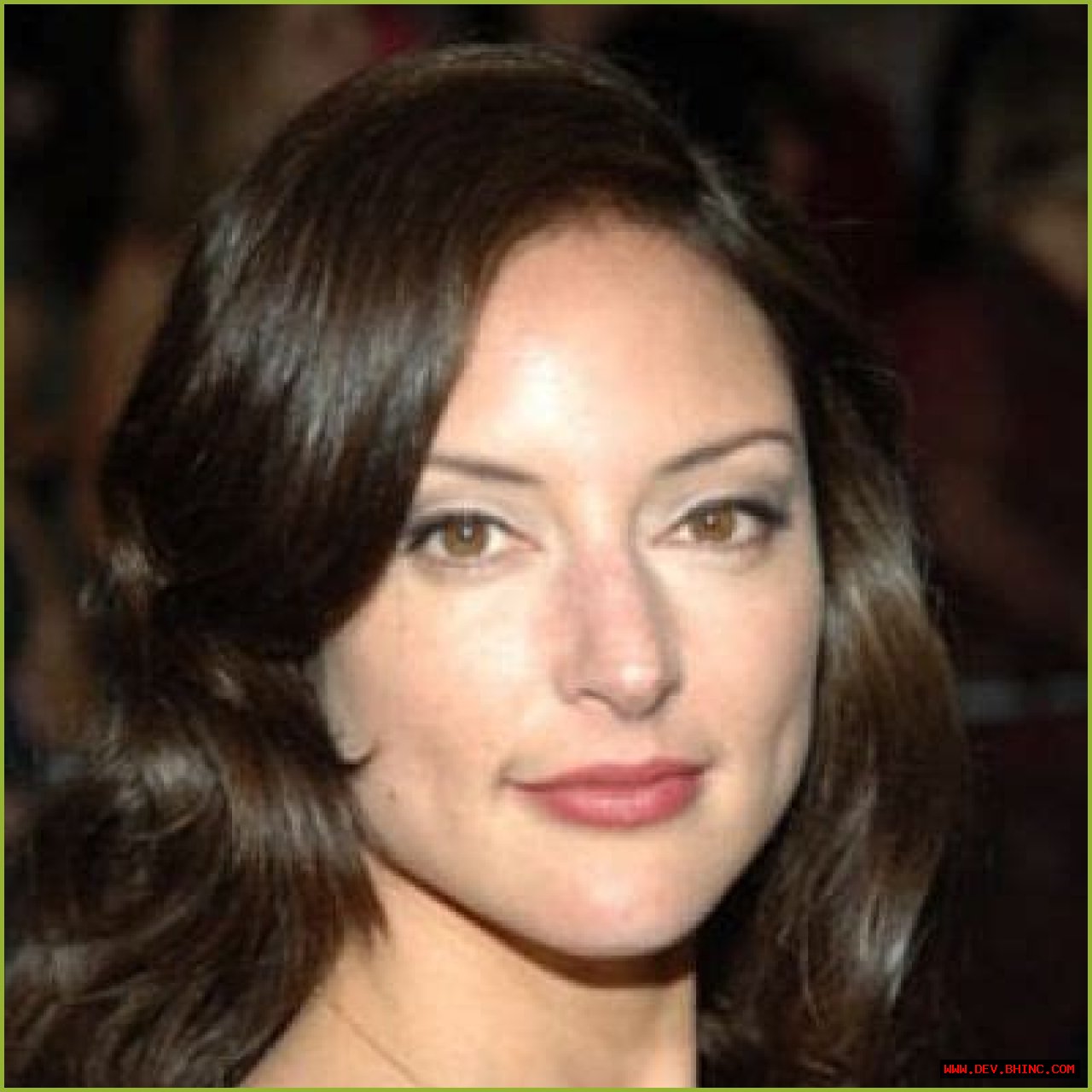 Lola Glaudini- Everything You Need To Know About Her