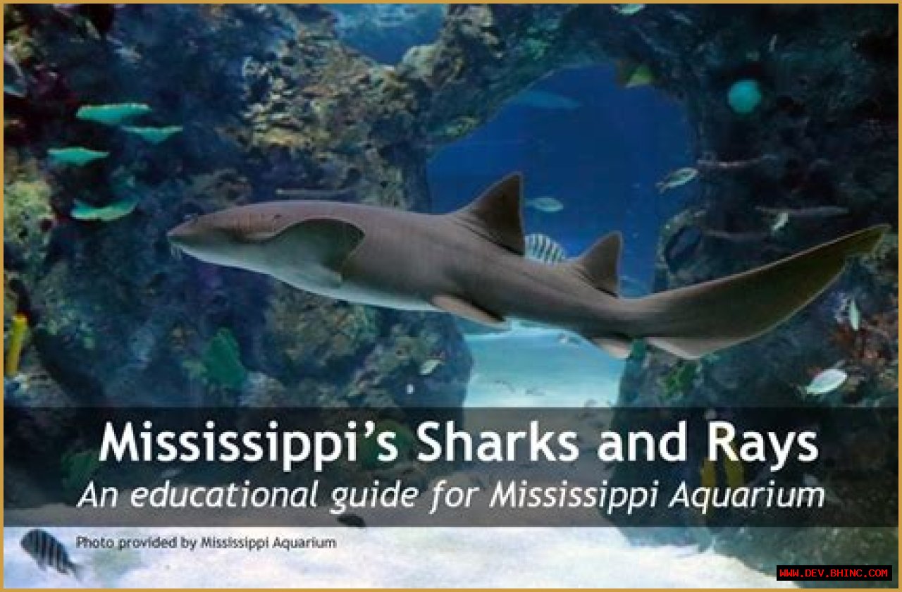 Mississippi’s Sharks and Rays | Mississippi State University Extension Service