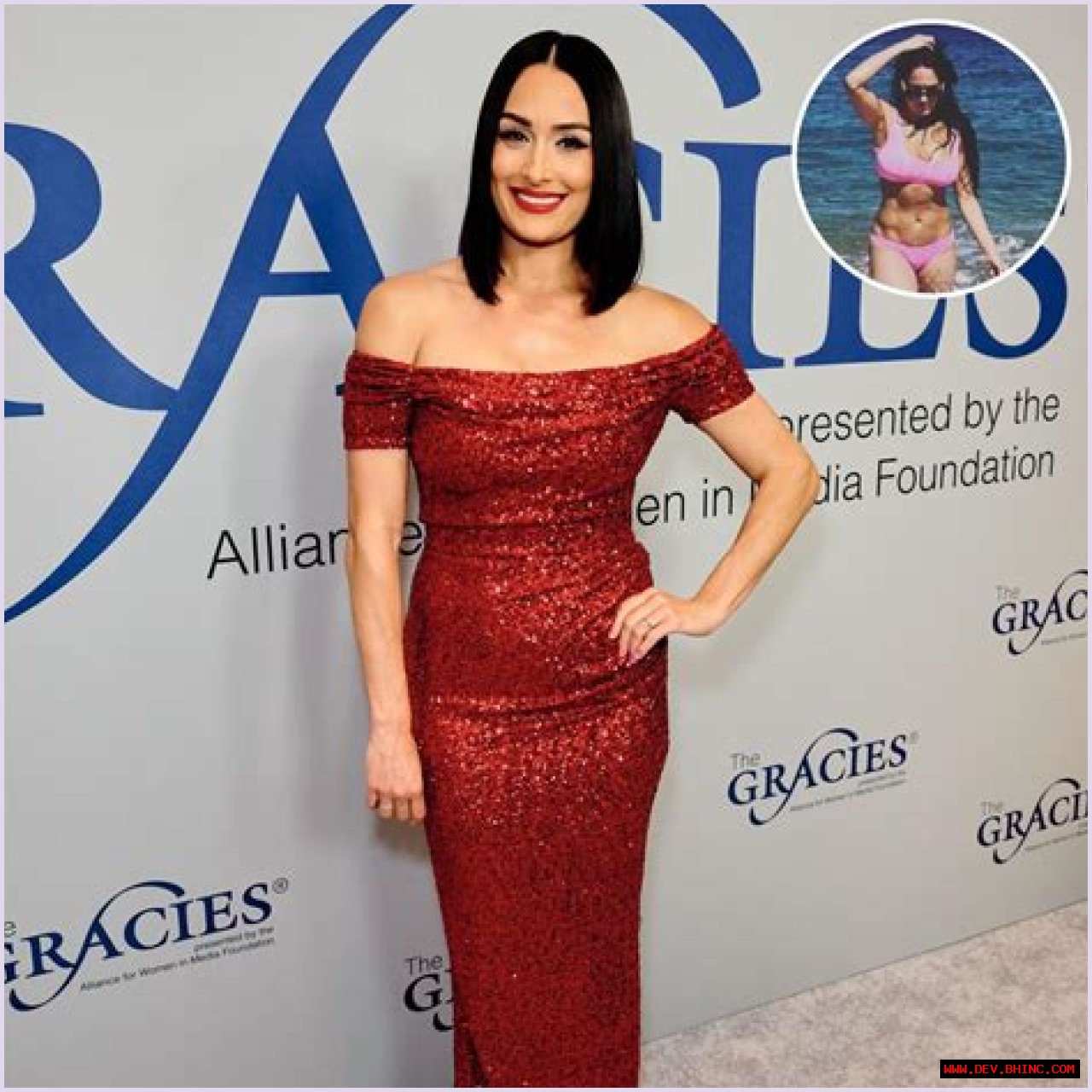 Nikki Bella Is a ~Total~ Bikini Baddie! See the WWE Diva’s Hottest Swimsuit Pictures