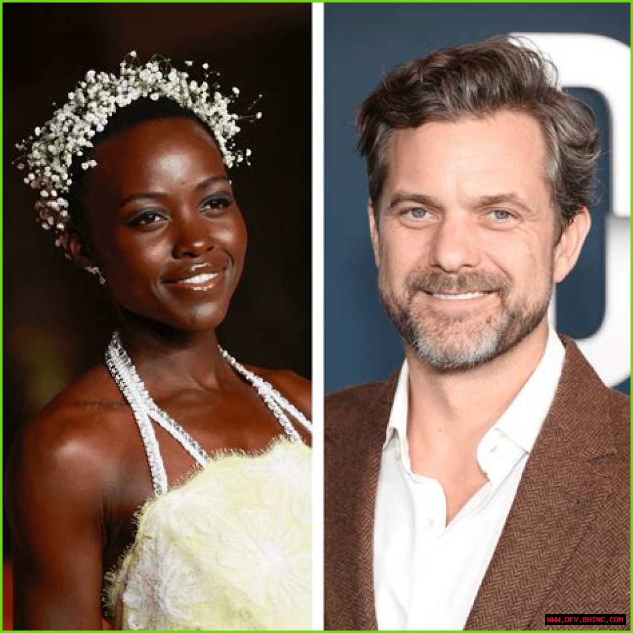 No Rebound in Sight! Joshua Jackson Is ‘Very Serious’ About His Relationship With Lupita Nyong’o