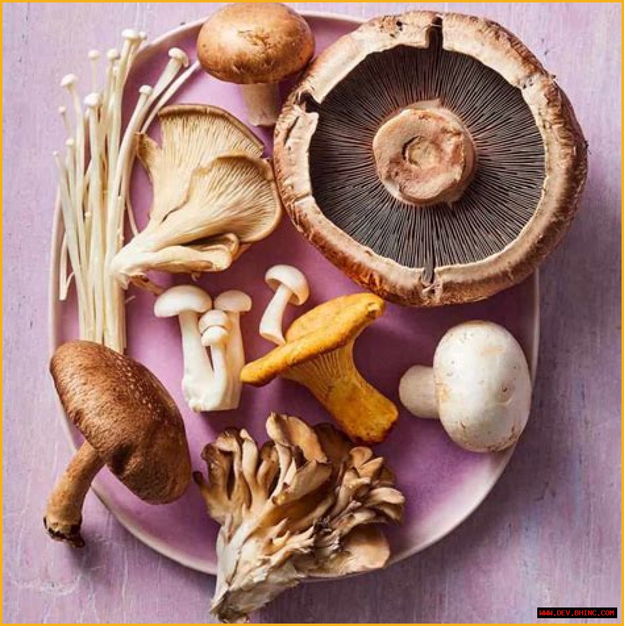 Portobello Mushrooms Controversy: What Is It About?