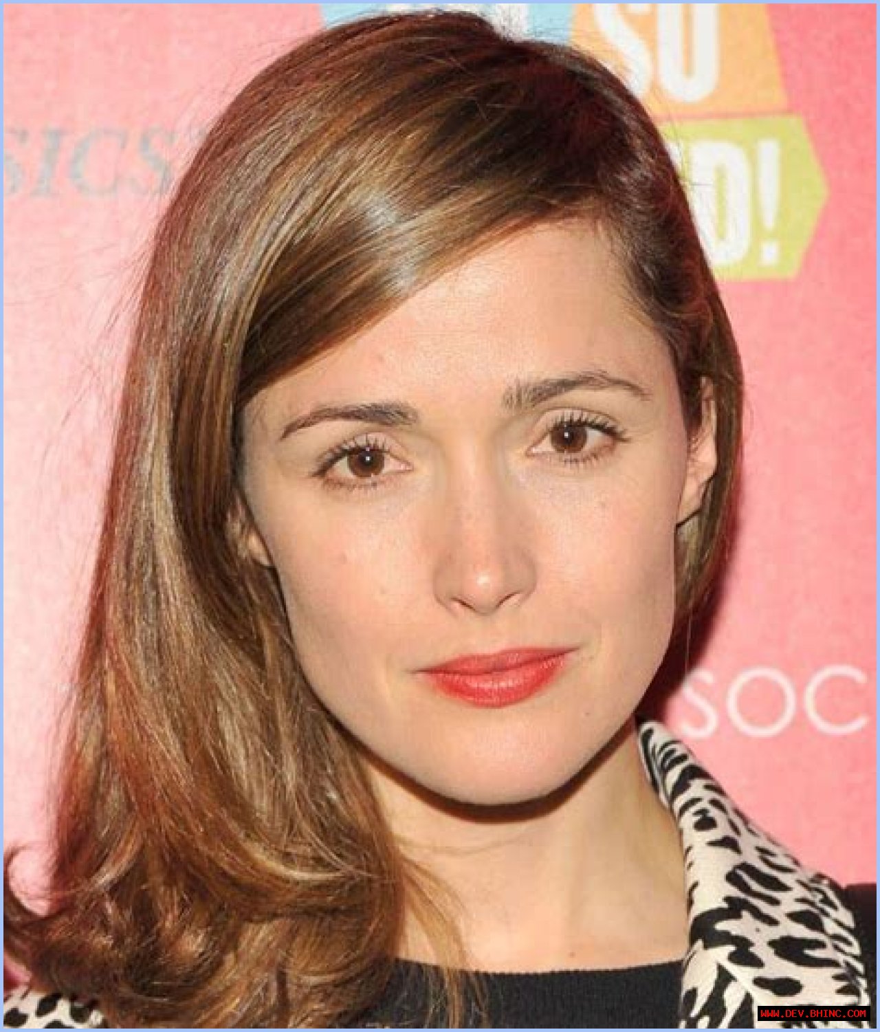 Rose Byrne- Bio, Wiki, Age, Height, Net Worth, Relationship, Career