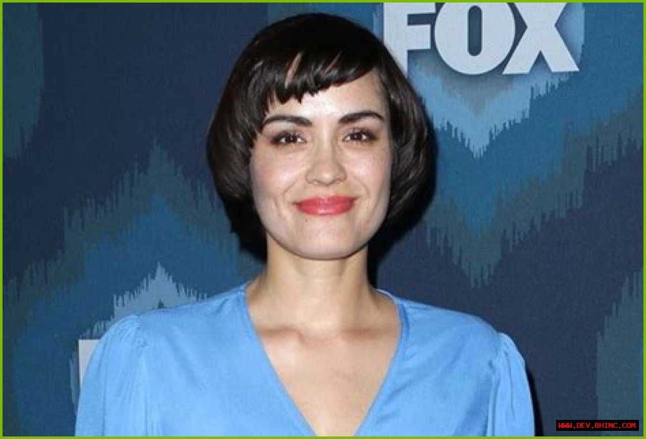 Shannyn Sossamon  Bio (Wiki) 