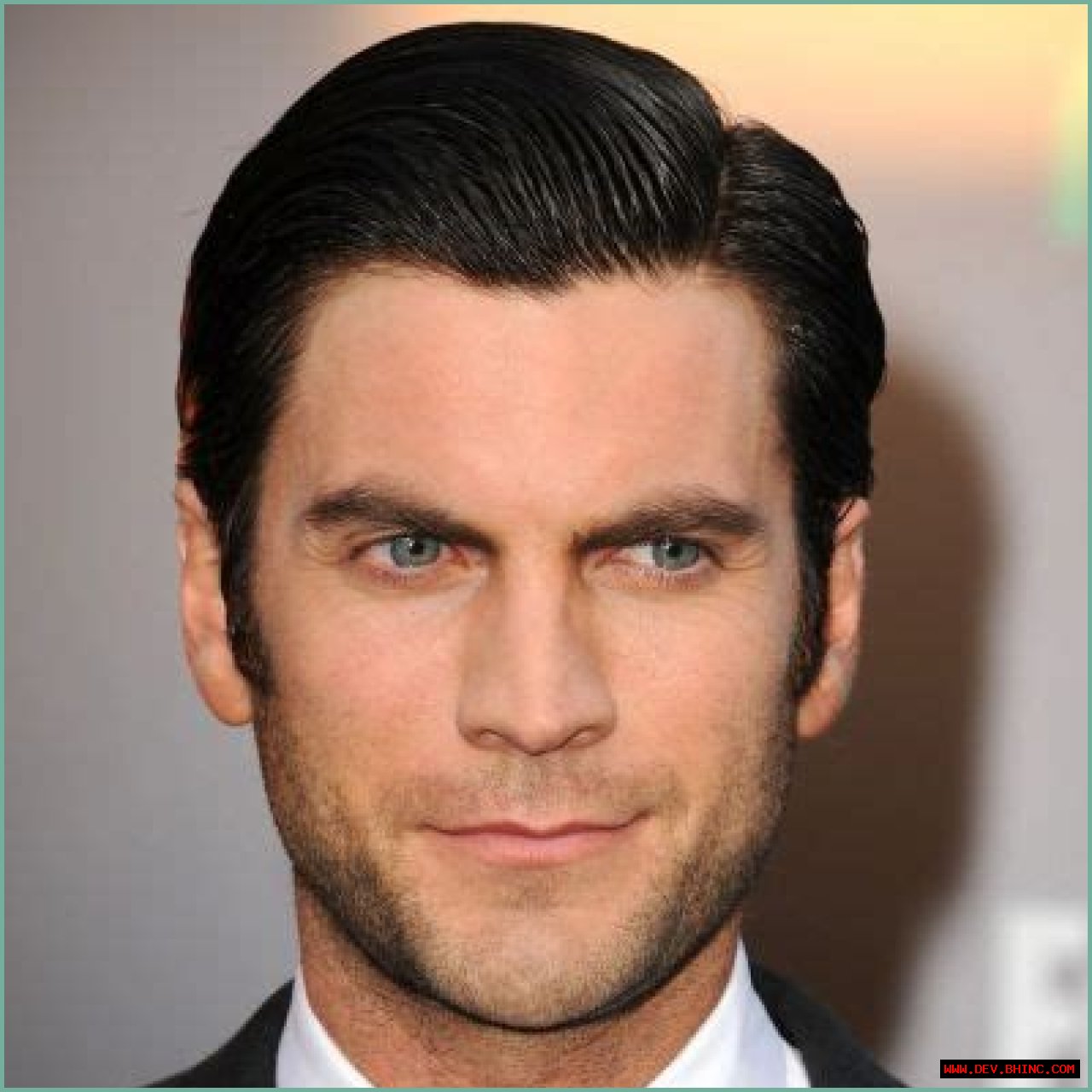 Wes Bentley- Wiki, Age, Height, Net Worth, Wife, Ethnicity